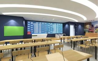 深圳青之藤國際學校好嗎