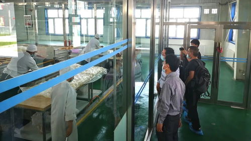 深化教學(xué)科研合作 助力馕產(chǎn)業(yè)升級(jí)——江南大學(xué)食品學(xué)院赴新疆克州考察調(diào)研